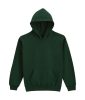Gildan GIBSF500 SOFTSTYLE® MIDWEIGHT FLEECE YOUTH HOODIE XL