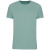 Kariban KA3025IC BIO150IC MEN'S ROUND NECK T-SHIRT 2XL