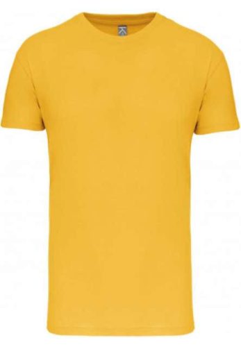 Kariban KA3025IC BIO150IC MEN'S ROUND NECK T-SHIRT 2XL