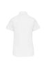 Kariban KA536 LADIES' SHORT-SLEEVED OXFORD SHIRT 4XL