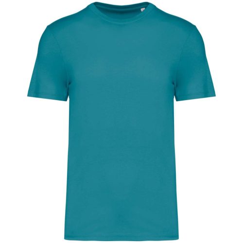 Native Spirit NS300 ECO-FRIENDLY UNISEX T-SHIRT 4XL