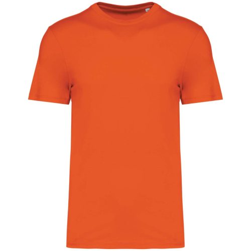 Native Spirit NS300 ECO-FRIENDLY UNISEX T-SHIRT 4XL
