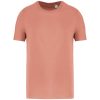 Native Spirit NS300 ECO-FRIENDLY UNISEX T-SHIRT 4XL