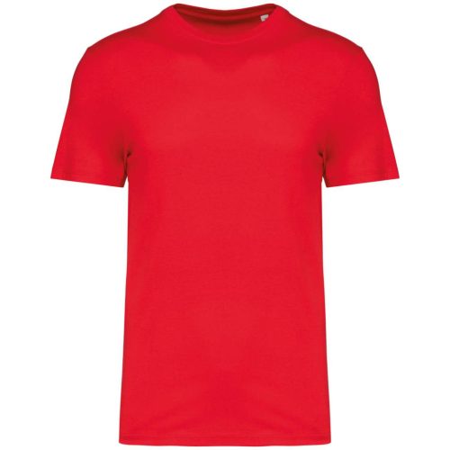 Native Spirit NS300 ECO-FRIENDLY UNISEX T-SHIRT L
