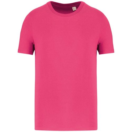 Native Spirit NS300 ECO-FRIENDLY UNISEX T-SHIRT 4XL