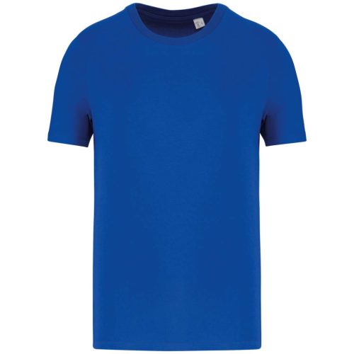 Native Spirit NS300 ECO-FRIENDLY UNISEX T-SHIRT 4XL