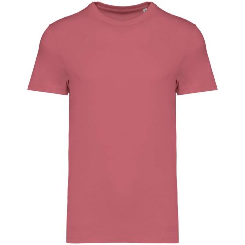 Native Spirit NS305 UNISEX ECO-FRIENDLY T-SHIRT 2XL