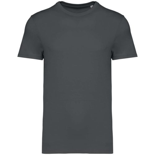 Native Spirit NS305 UNISEX ECO-FRIENDLY T-SHIRT 2XL
