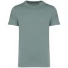 Native Spirit NS305 UNISEX ECO-FRIENDLY T-SHIRT 2XL