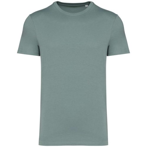 Native Spirit NS305 UNISEX ECO-FRIENDLY T-SHIRT 2XL