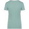Native Spirit NS324 LADIES' T-SHIRT 2XL