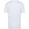 Native Spirit NS332 MEN'S OVERSIZED T-SHIRT 2XL