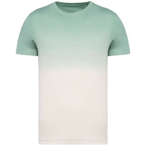 Native Spirit NS345 UNISEX ECO-FRIENDLY DIP DYE T-SHIRT L