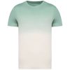 Native Spirit NS345 UNISEX ECO-FRIENDLY DIP DYE T-SHIRT M