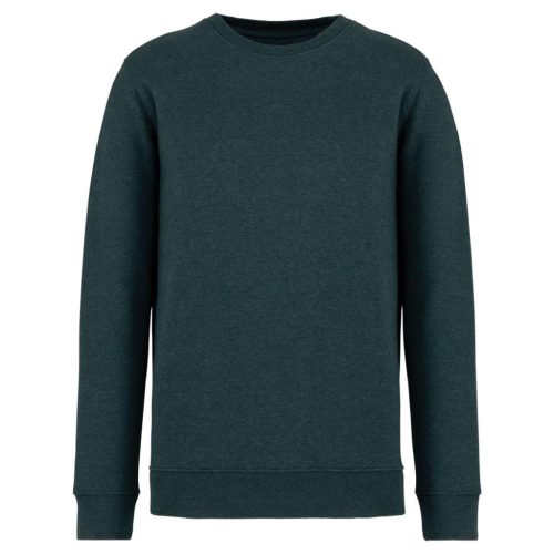 Native Spirit NS400 ECO-FRIENDLY UNISEX ROUND NECK SWEATSHIRT 2XL