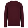Native Spirit NS400 ECO-FRIENDLY UNISEX ROUND NECK SWEATSHIRT XL