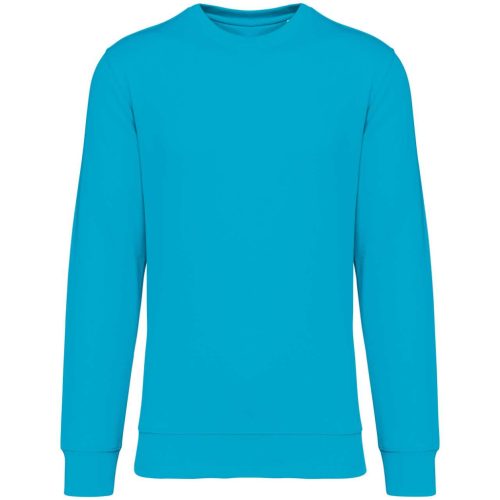 Native Spirit NS400 ECO-FRIENDLY UNISEX ROUND NECK SWEATSHIRT L