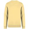 Native Spirit NS400 ECO-FRIENDLY UNISEX ROUND NECK SWEATSHIRT 2XL