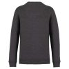 Native Spirit NS400 ECO-FRIENDLY UNISEX ROUND NECK SWEATSHIRT L