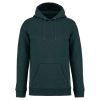 Native Spirit NS401 ECO-FRIENDLY UNISEX HOODED SWEATSHIRT 2XL