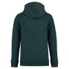 Native Spirit NS401 ECO-FRIENDLY UNISEX HOODED SWEATSHIRT 2XL