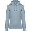 Native Spirit NS401 ECO-FRIENDLY UNISEX HOODED SWEATSHIRT 2XL