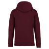 Native Spirit NS401 ECO-FRIENDLY UNISEX HOODED SWEATSHIRT 4XL