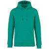 Native Spirit NS401 ECO-FRIENDLY UNISEX HOODED SWEATSHIRT XL