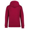 Native Spirit NS401 ECO-FRIENDLY UNISEX HOODED SWEATSHIRT L