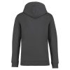 Native Spirit NS401 ECO-FRIENDLY UNISEX HOODED SWEATSHIRT 4XL