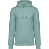 Native Spirit NS401 ECO-FRIENDLY UNISEX HOODED SWEATSHIRT 2XL