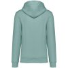 Native Spirit NS401 ECO-FRIENDLY UNISEX HOODED SWEATSHIRT 2XL