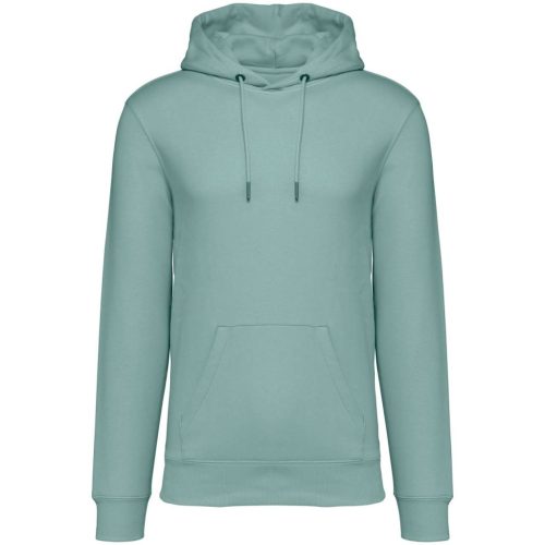 Native Spirit NS401 ECO-FRIENDLY UNISEX HOODED SWEATSHIRT 4XL