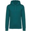 Native Spirit NS401 ECO-FRIENDLY UNISEX HOODED SWEATSHIRT XL