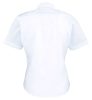 Premier PR312 WOMEN'S SHORT SLEEVE PILOT SHIRT XS