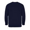 SOL'S SO04239 SOL'S COLUMBIA KIDS' - KIDS' SWEATSHIRT 6A