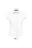 SOL'S SO17020 SOL'S EXCESS - SHORT SLEEVE STRETCH WOMEN'S SHIRT 2XL